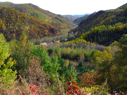 黑里河杜鹃红黑里河风景区域宁城高级中学八里罕中学宝寺的白塔